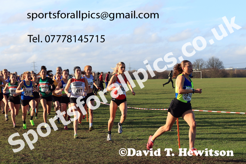Senior Womens 2026 Northern Cross Country Champs., Pontefract Racecourse, Pontefract. Photo: David T. Hewitson/Sports for All Pics